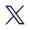 X logo white