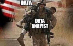 Data analyst meme