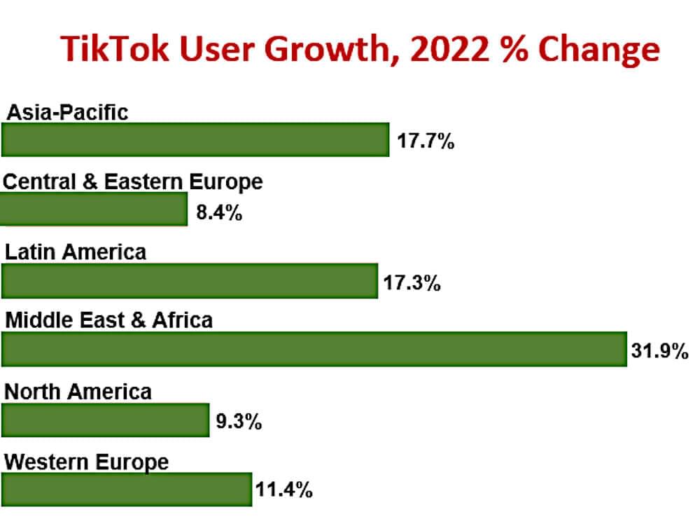 TikTok users growth