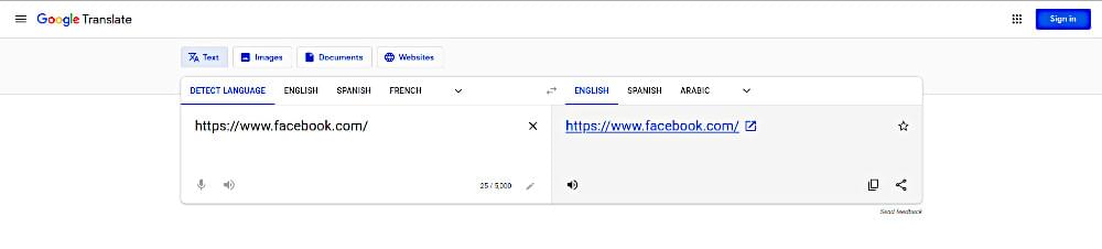 Google translate