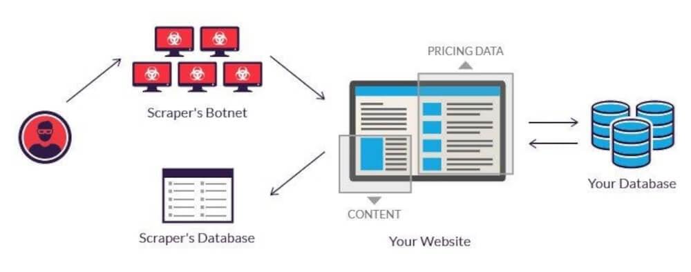 Web Scraping 101: How to Copy Anything for Digital Signage